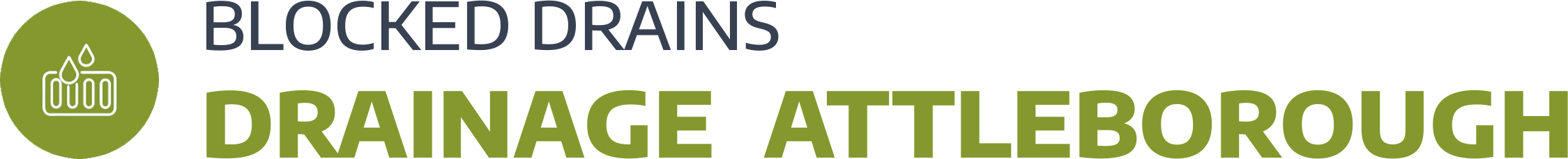website logo